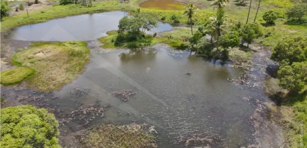 Fazenda / Sítio / Chácara com 8 Quartos à venda, 100000m² no Matriz, Vitória de Santo Antão