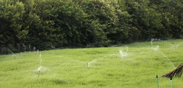 Fazenda / Sítio / Chácara à venda, 350000m² no Centro, Chã Grande