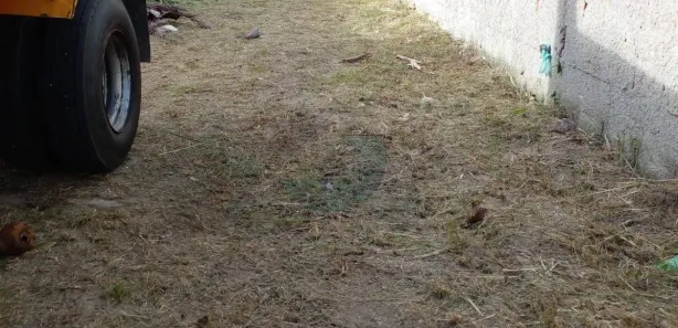 Terreno / Lote / Condomínio à venda, 230m² no Campo Redondo, São Pedro da Aldeia