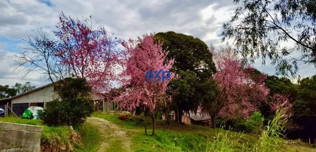 Terreno / Lote / Condomínio à venda, 100170m² no , Contenda