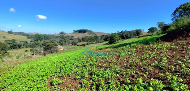 Fazenda / Sítio / Chácara com 5 Quartos à venda, 140360m² no , Guaraniaçu