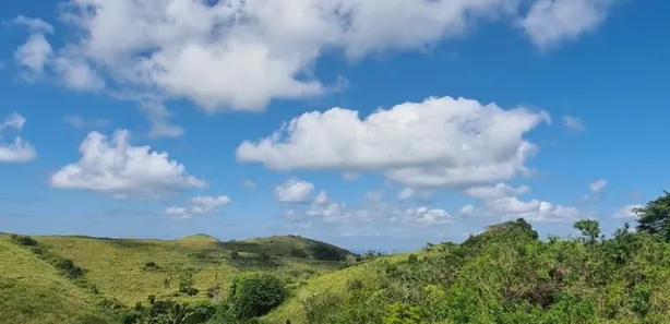 Fazenda / Sítio / Chácara com 2 Quartos à venda, 1000m² no Saboó, São Roque
