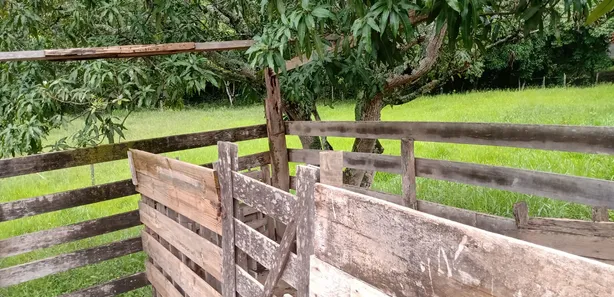 Fazenda / Sítio / Chácara com 2 Quartos à venda, 2800m² no Arapoanga, Brasília