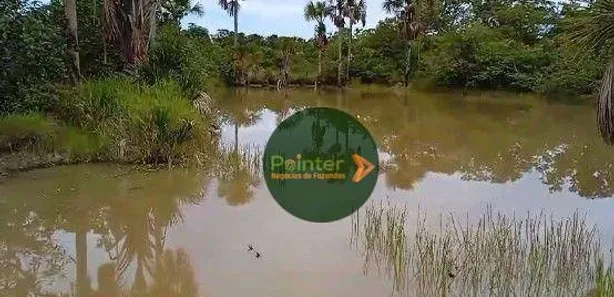 Fazenda / Sítio / Chácara à venda, 4410450m² no , Ponte Alta do Tocantins