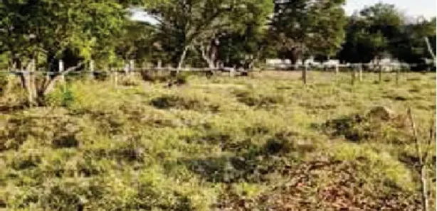 Terreno / Lote / Condomínio à venda, 11364m² no , Sarapuí