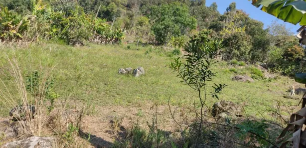 Fazenda / Sítio / Chácara com 1 Quarto à venda, 6800m² no , Piedade
