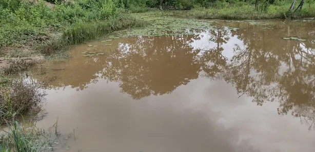 Fazenda / Sítio / Chácara à venda, 20000m² no , Fortuna de Minas
