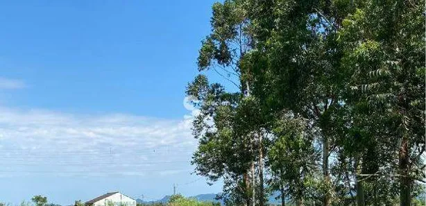 Fazenda / Sítio / Chácara com 2 Quartos à venda, 137m² no Palma, Santa Maria