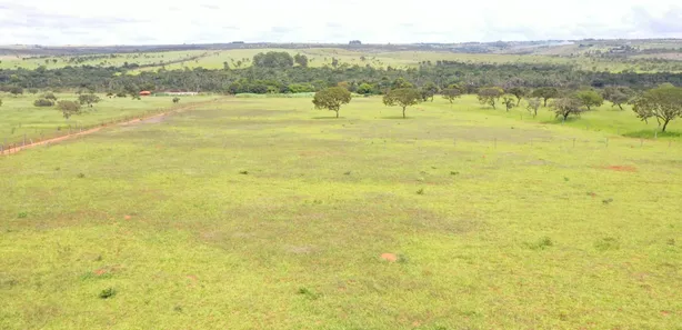 Fazenda / Sítio / Chácara à venda, 130000m² no Arapoanga, Brasília