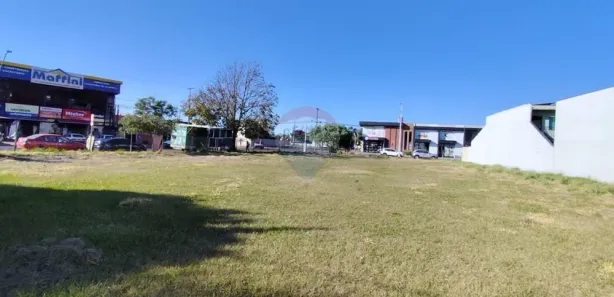 Loja / Salão / Ponto Comercial para alugar, 1606m² no Cascavel Velho, Cascavel