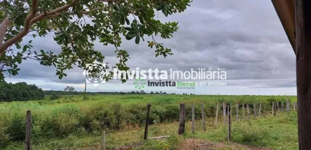Fazenda / Sítio / Chácara à venda, 745m² no Setor Central, Divinópolis do Tocantins
