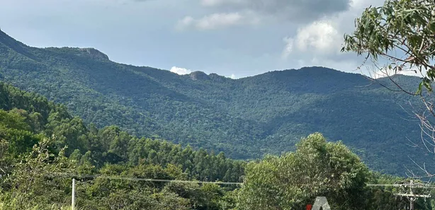 Terreno / Lote / Condomínio à venda, 20000m² no , Joanópolis