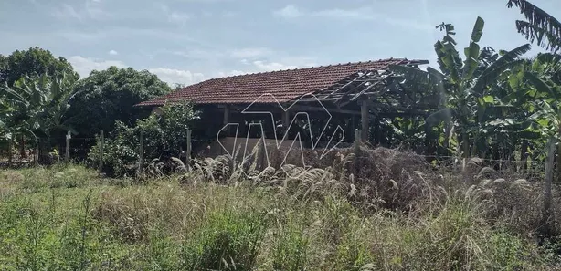 Terreno / Lote / Condomínio para venda ou aluguel, 3698m² no Jardim Paulistano (Vila Xavier), Araraquara