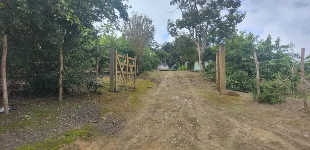 Fazenda / Sítio / Chácara com 3 Quartos à venda, 80000m² no Alpes Suiços, Gravatá