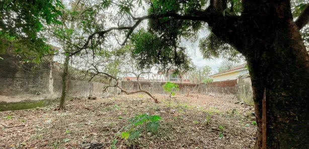 Terreno / Lote / Condomínio à venda, 1279m² no Vila Couto, Cubatão