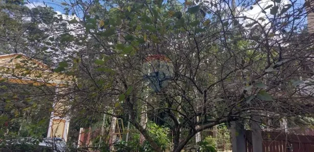 Casa com 3 Quartos à venda, 360m² no Centro, Bom Jardim