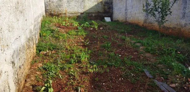 Casa com 2 Quartos à venda, 43m² no Rio Branco do Sul, Rio Branco do Sul