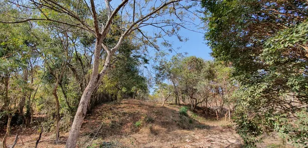 Terreno / Lote / Condomínio à venda, 20000m² no Centro, Fortuna de Minas