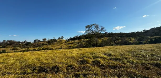 Fazenda / Sítio / Chácara à venda, 76326m² no , Nerópolis