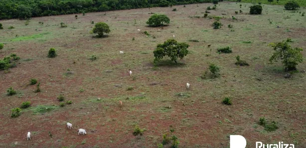 Fazenda / Sítio / Chácara à venda, 600m² no , Pium