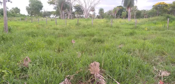 Fazenda / Sítio / Chácara à venda, 1000000m² no , Porto Murtinho