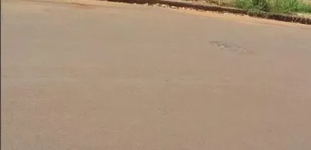 Fazenda / Sítio / Chácara com 4 Quartos para venda ou aluguel, 200m² no Chácaras Arco-Íris, Araçatuba