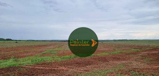 Fazenda / Sítio / Chácara à venda, 9937125m² no , Pedro Afonso