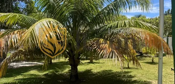 Casa com 5 Quartos à venda, 200m² no Porto de Sauípe, Entre Rios