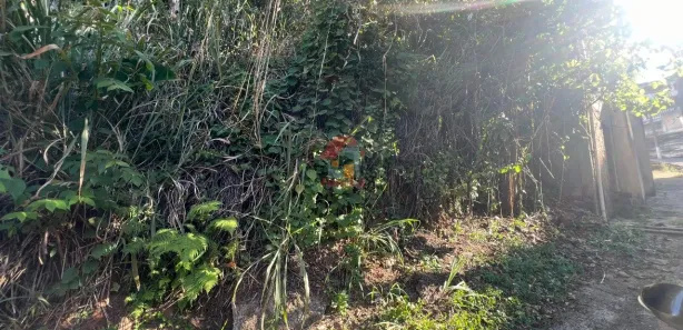 Terreno / Lote / Condomínio à venda, 292m² no Centro, Nova Lima