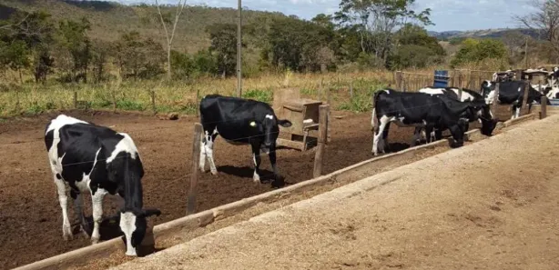 Terreno / Lote / Condomínio à venda, 141m² no Centro, Alexânia
