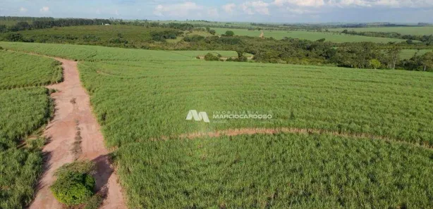 Fazenda / Sítio / Chácara com 3 Quartos à venda, 500m² no Monte Azul Paulista, Monte Azul Paulista