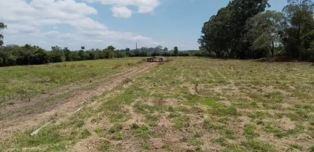 Terreno / Lote / Condomínio à venda, 35199m² no São Nicolau, Penha