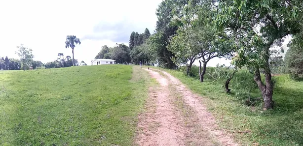 Fazenda / Sítio / Chácara à venda, 65000m² no Zacarias, São José dos Pinhais