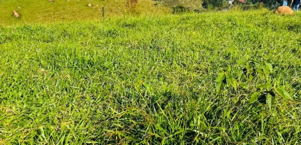Terreno / Lote / Condomínio à venda, 600m² no , Igaratá
