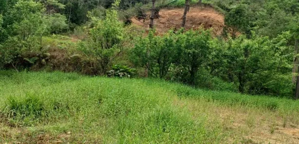 Fazenda / Sítio / Chácara à venda, 3662m² no Vargem Grande, Águas Mornas