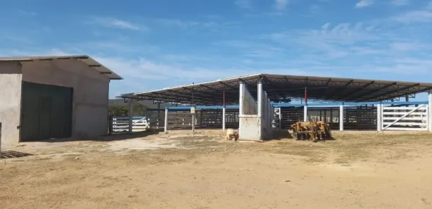 Fazenda / Sítio / Chácara à venda, 13500m² no Residencial Greenville I, Novo Gama