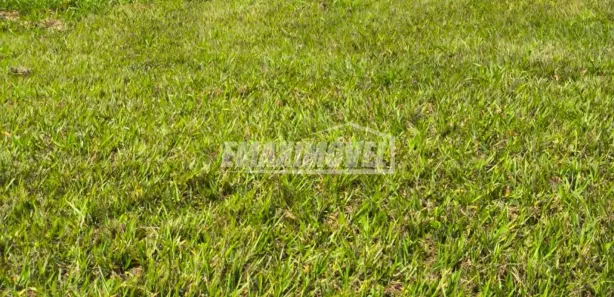 Terreno / Lote / Condomínio à venda, 1000m² no Sarapuí, Sarapuí