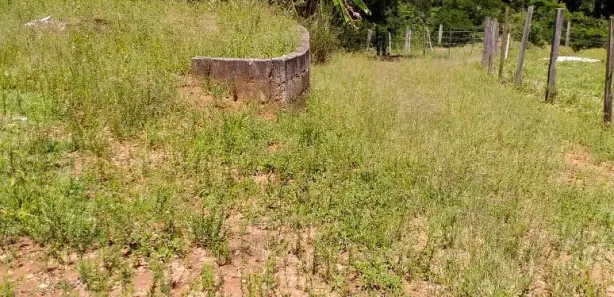 Fazenda / Sítio / Chácara com 3 Quartos à venda, 6600m² no Centro, Taubaté