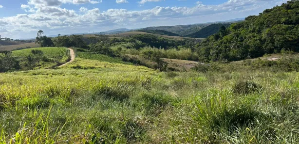 Fazenda / Sítio / Chácara à venda, 330000m² no , Sairé