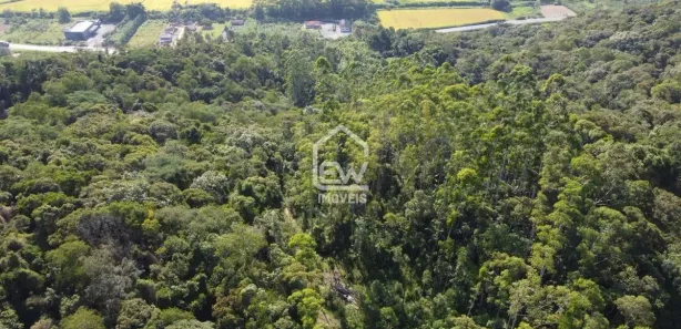 Fazenda / Sítio / Chácara com 1 Quarto à venda, 20100m² no Centro, Massaranduba