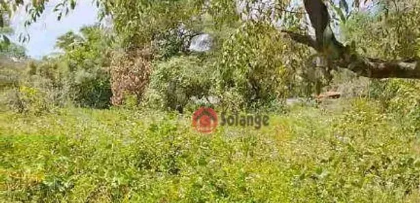 Fazenda / Sítio / Chácara à venda, 2000m² no Cidade Balneária Novo Mundo I, Conde