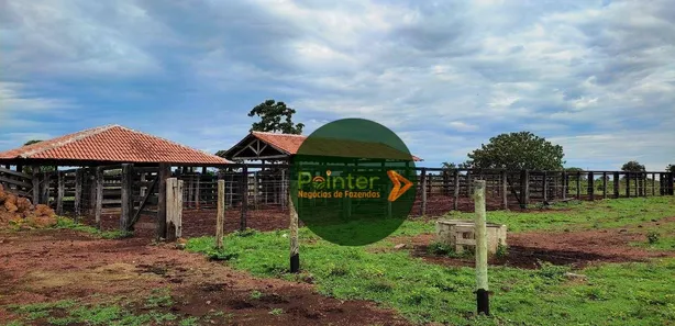 Fazenda / Sítio / Chácara à venda, 13552000m² no , Formoso do Araguaia