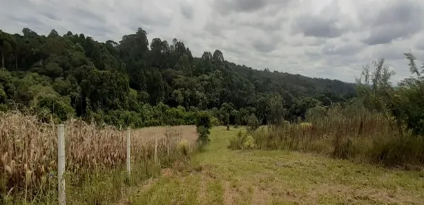 Fazenda / Sítio / Chácara com 2 Quartos à venda, 20000m² no Centro, Araucária
