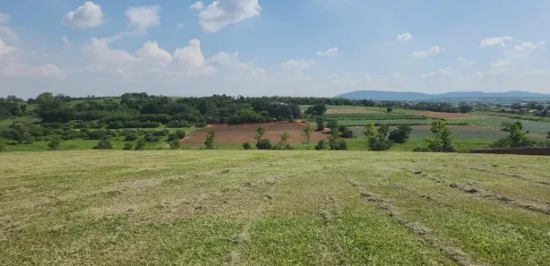 Terreno / Lote / Condomínio à venda, 3456m² no Tupinambá, Porto Feliz