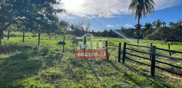 Fazenda / Sítio / Chácara à venda, 500m² no Setor Aeroporto, Gurupi