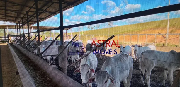 Fazenda / Sítio / Chácara com 5 Quartos à venda, 2565200m² no Chácara Marambaia, Caçapava