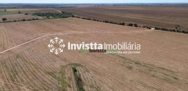 Fazenda / Sítio / Chácara à venda, 1000m² no Setor Central, Pedro Afonso