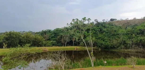 Fazenda / Sítio / Chácara com 5 Quartos à venda, 6000m² no Ajuda, Guararema