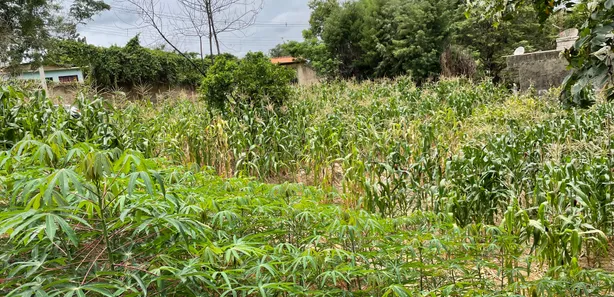 Terreno / Lote / Condomínio à venda, 1050m² no Bosque dos Pinheiros, Capivari