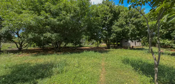 Fazenda / Sítio / Chácara com 3 Quartos à venda, 121m² no Área Rural de Formosa, Formosa